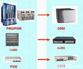 龙风褂的演变与现代网络技术的跨界融合